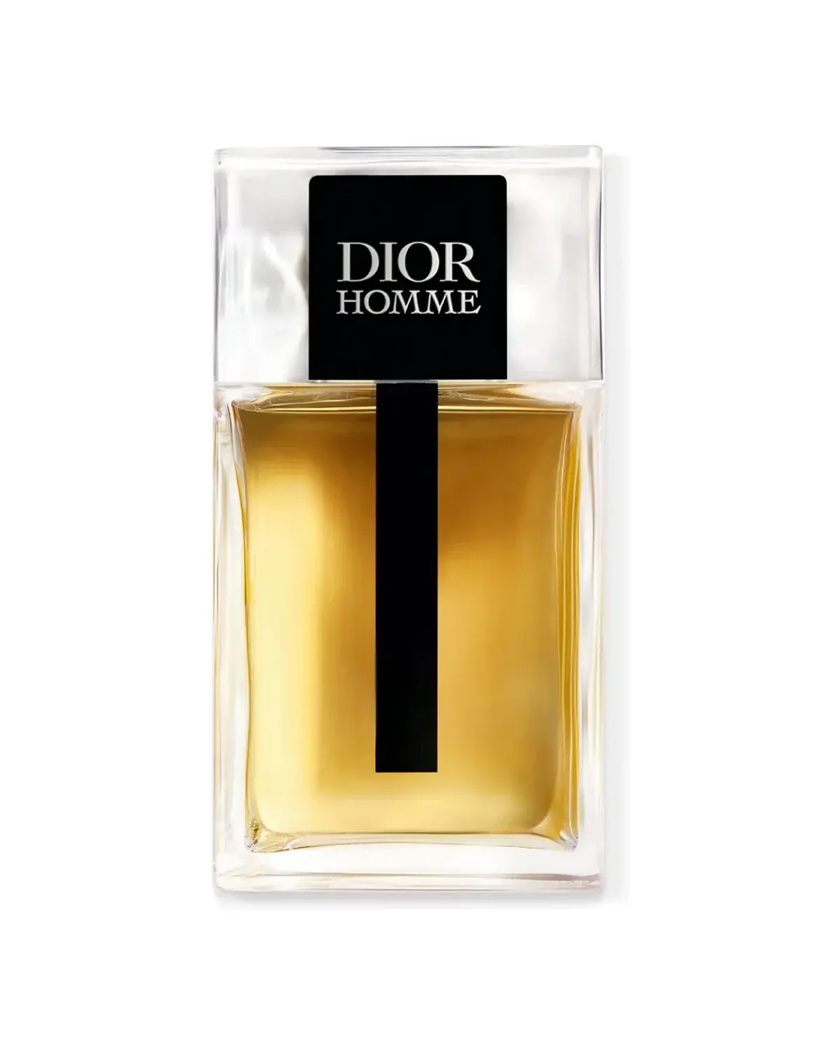 Dior Homme