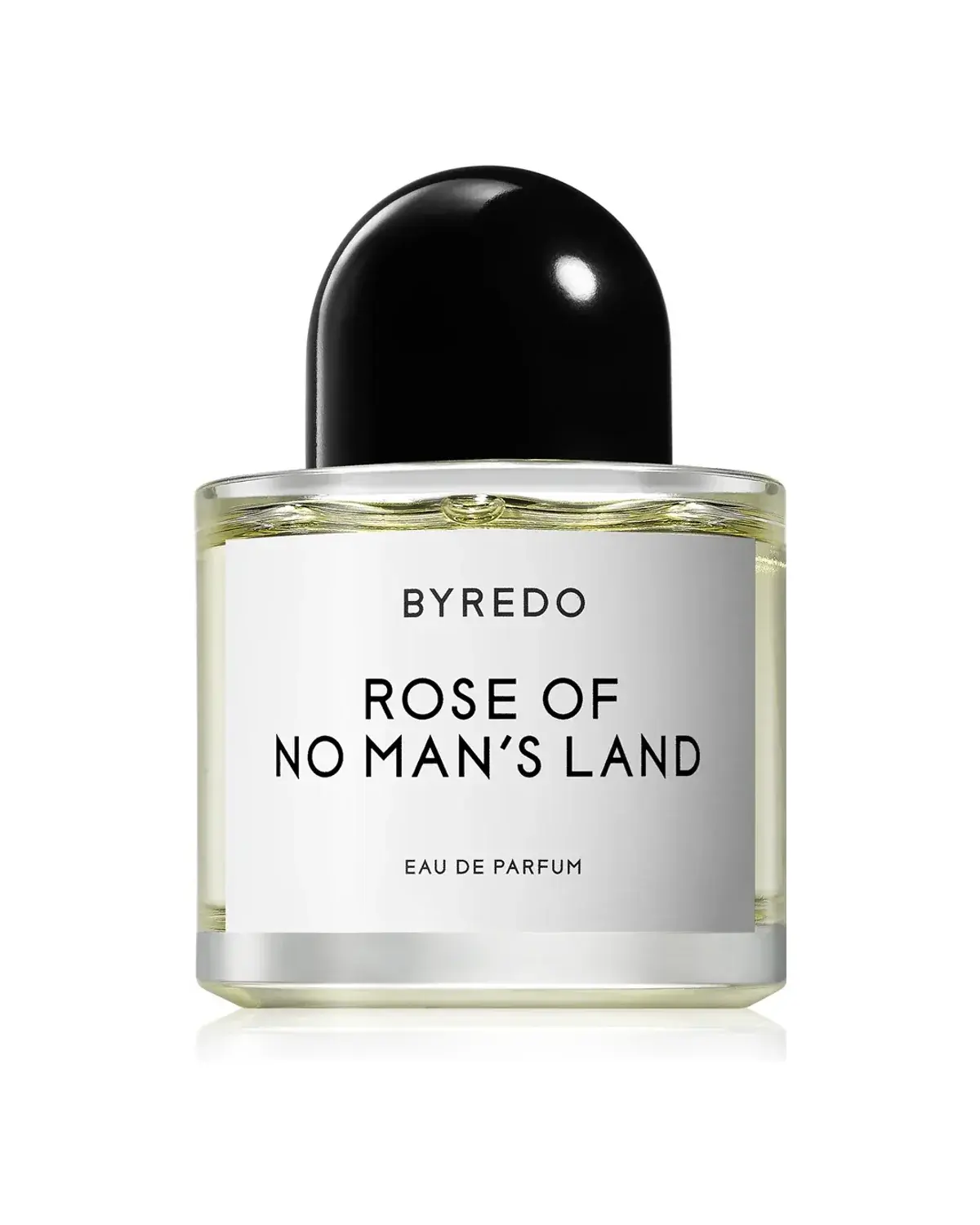 Rose of No Man's Land